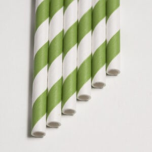 Biodegradable Straw - Green and White