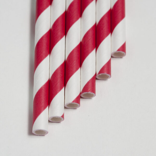 Biodegradable Straw - Red and White